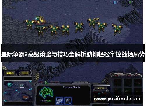 星际争霸2高级策略与技巧全解析助你轻松掌控战场局势