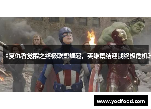 《复仇者觉醒之终极联盟崛起，英雄集结迎战终极危机》