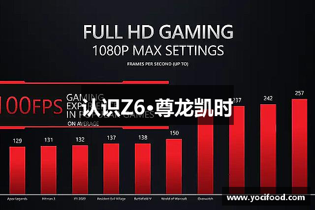 认识Z6·尊龙凯时